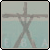 code_pro_14.gif (3131 bytes)
